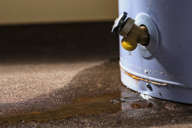 Best Residential water damage restoration  in Knoxville, TN