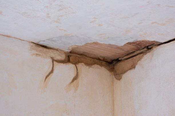 Best 24/7 water damage repair  in Knoxville, TN