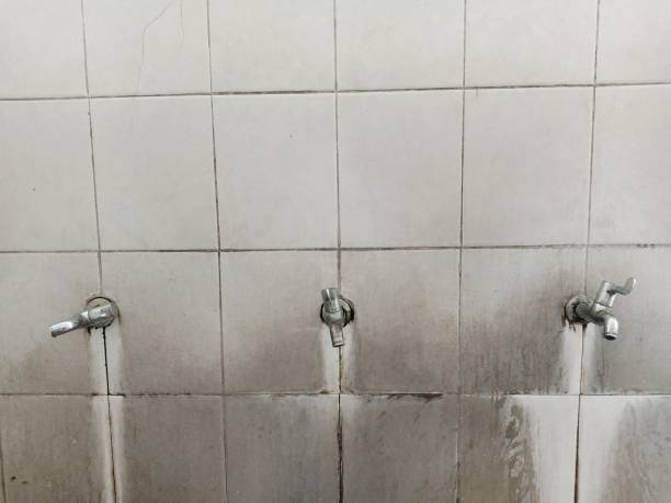 Best Flood damage cleanup  in Knoxville, TN