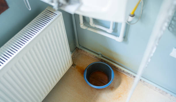 Best Water damage contractors near me  in Knoxville, TN