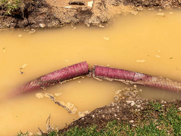 Best Sewage cleanup and water damage restoration  in Knoxville, TN