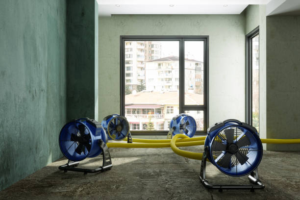 Best Basement water damage restoration  in Knoxville, TN